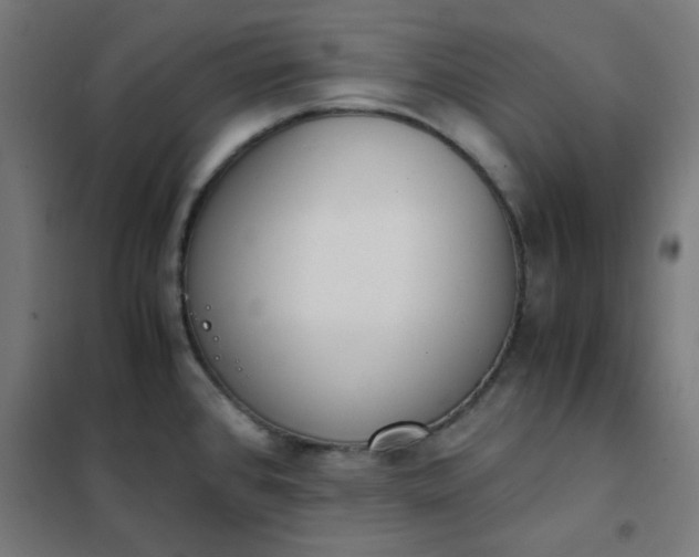 X0000101681384200807241335