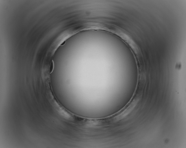 X0000101681385200807241335