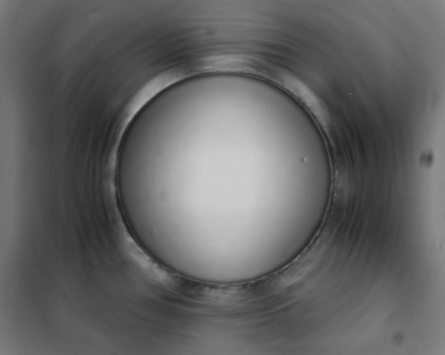 X0000101681386200807241335