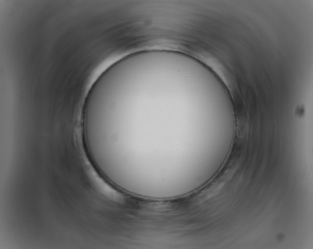 X0000101681387200807241335