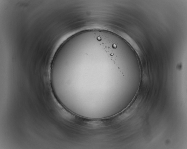 X0000101681388200807241335