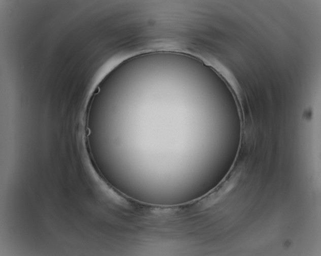 X0000101681389200807241335