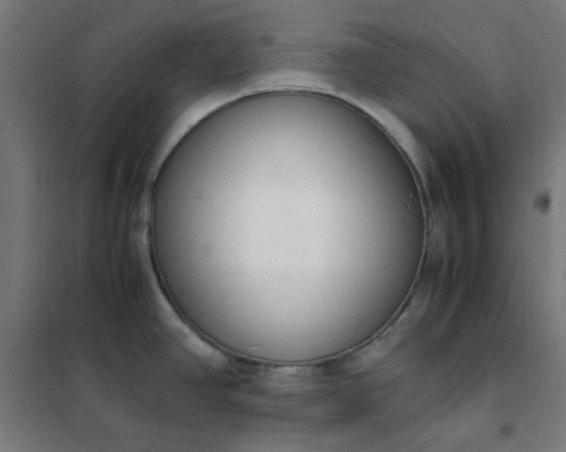 X0000101681390200807241335