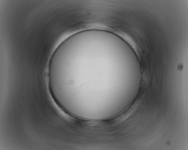 X0000101681391200807241335