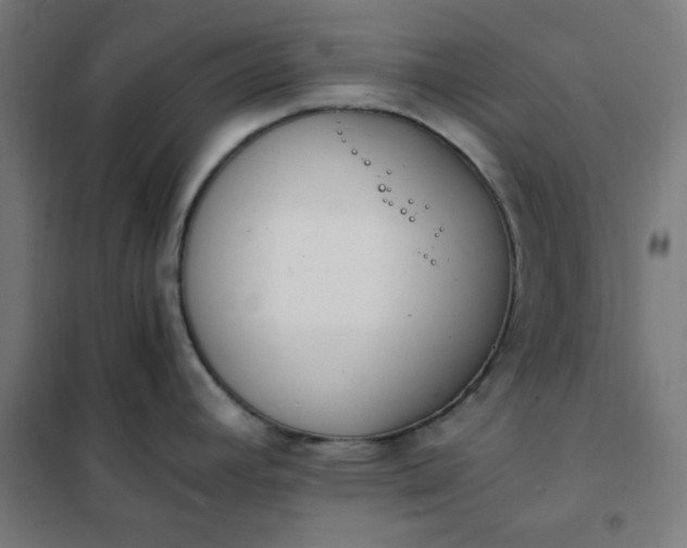 X0000101681392200807241335