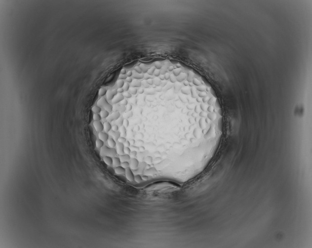 X0000101681393200807241335