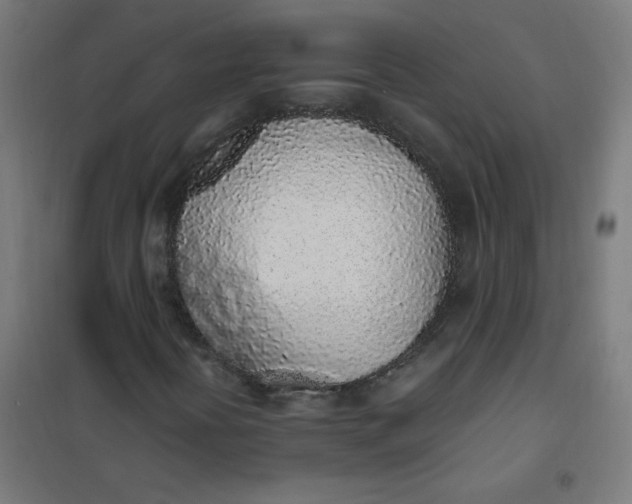 X0000101681394200807241335