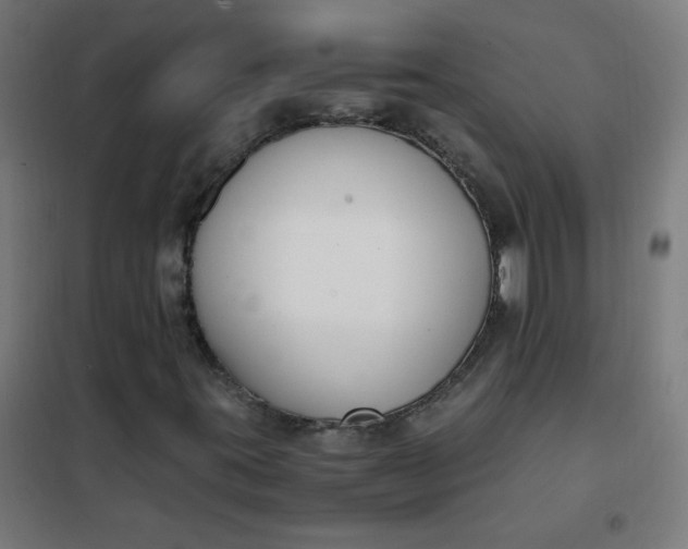 X0000101681395200807241335