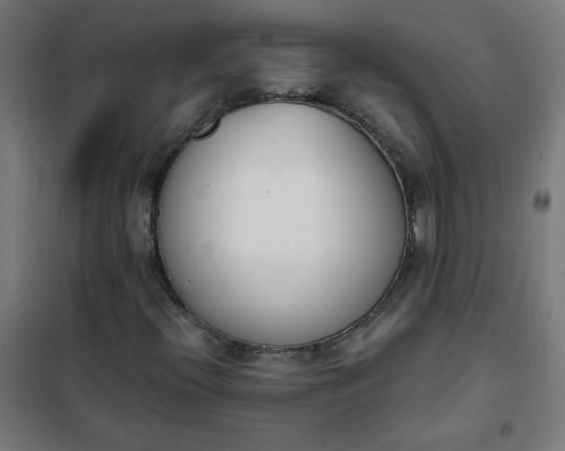 X0000101681396200807241335