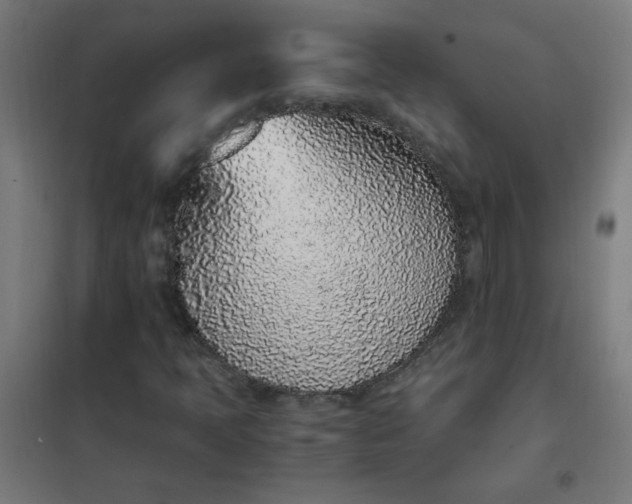 X0000101681397200807241335