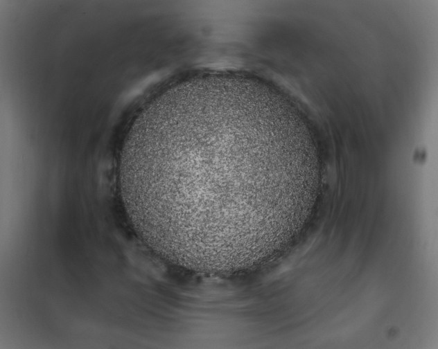 X0000101681398200807241335