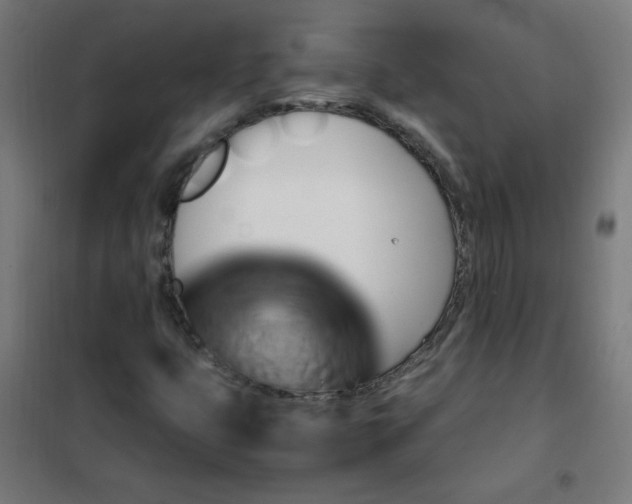 X0000101681399200807241335