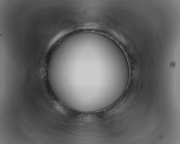 X0000101681400200807241335