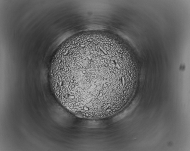 X0000101681401200807241335