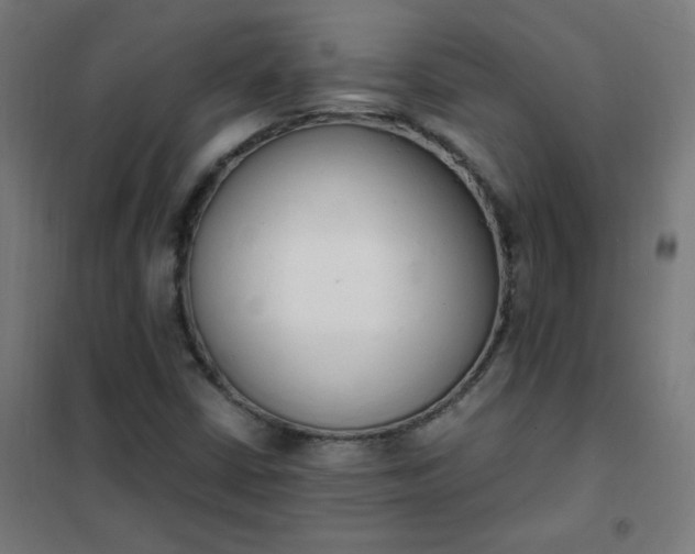 X0000101681402200807241335