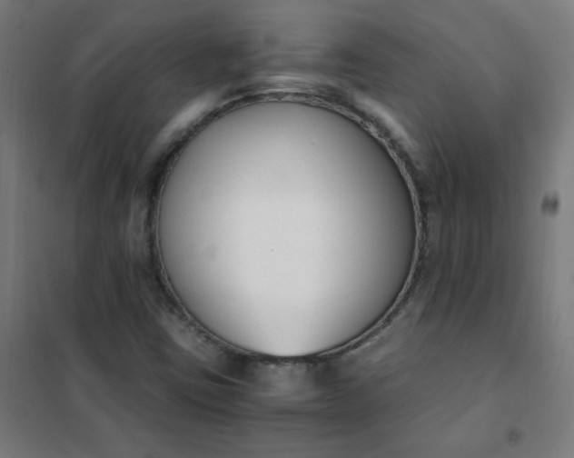 X0000101681403200807241335