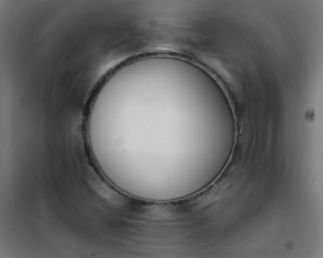 X0000101681404200807241335