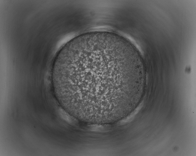 X0000101681405200807241335