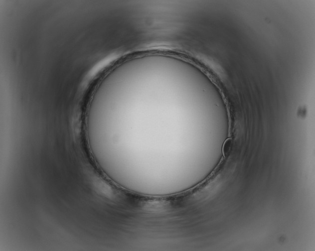 X0000101681406200807241335