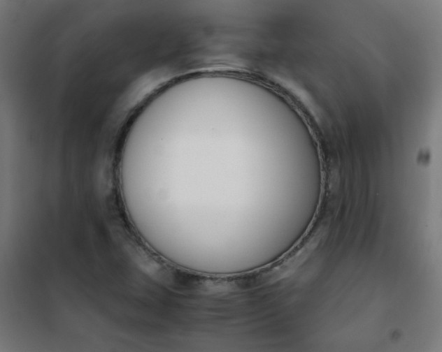 X0000101681407200807241335