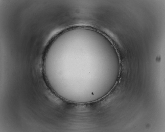 X0000101681408200807241335