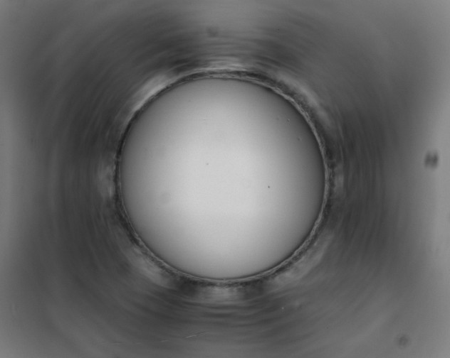 X0000101681409200807241335