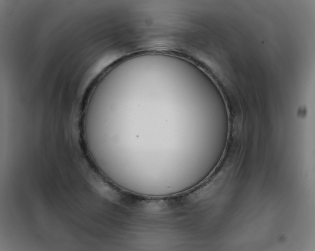 X0000101681410200807241335