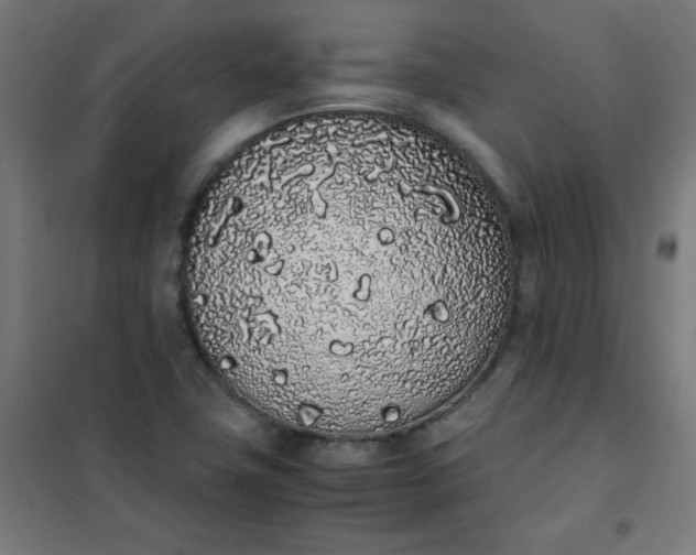 X0000101681411200807241335