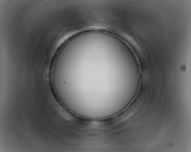 X0000101681412200807241335