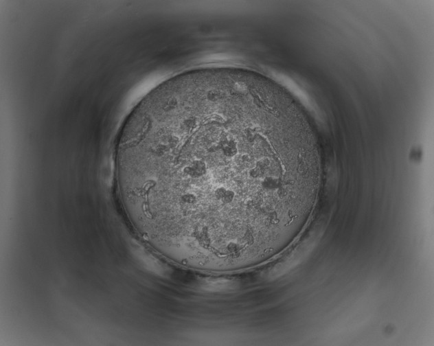 X0000101681413200807241335