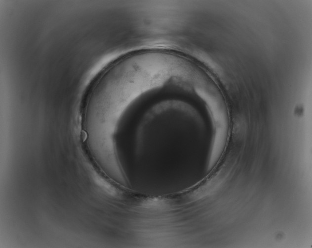 X0000101681414200807241335