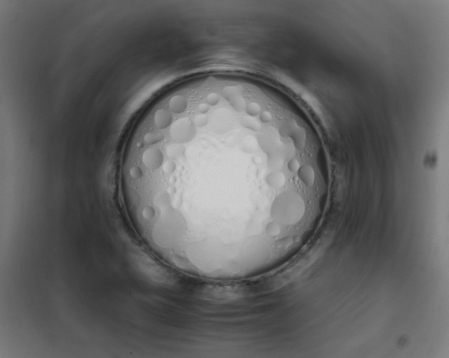 X0000101681415200807241335