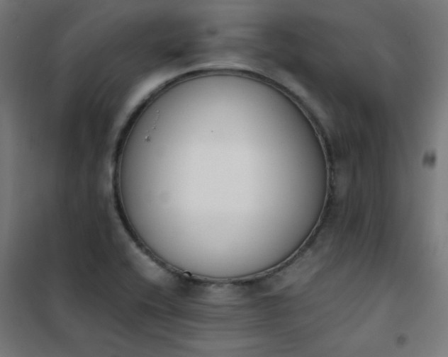 X0000101681416200807241335