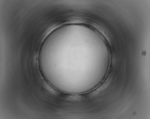 X0000101681417200807241335