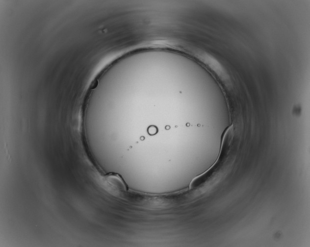 X0000101681420200807241335