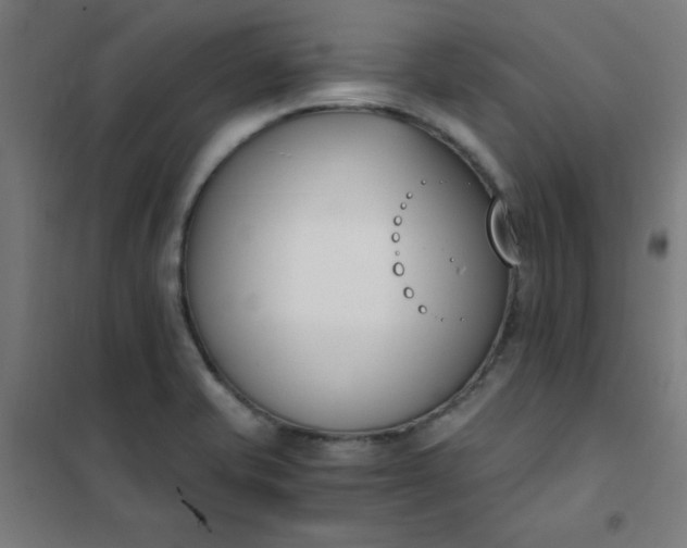 X0000101681421200807241335