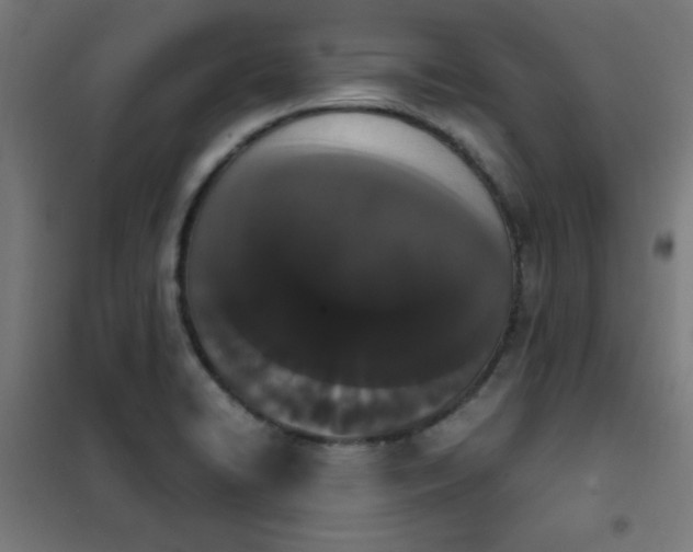 X0000101681422200807241335