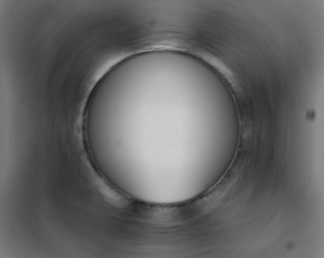 X0000101681423200807241335