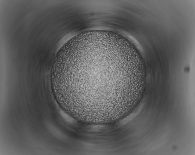 X0000101681425200807241335