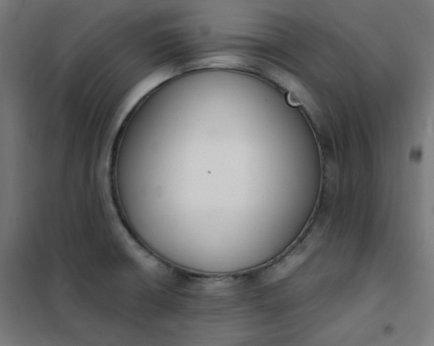 X0000101681426200807241335