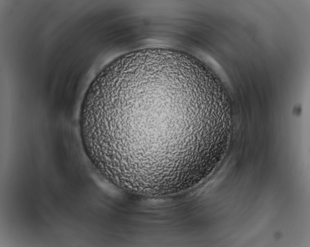 X0000101681427200807241335