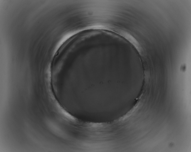 X0000101681428200807241335