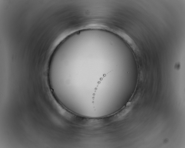 X0000101681430200807241335