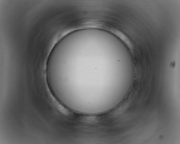 X0000101681431200807241335