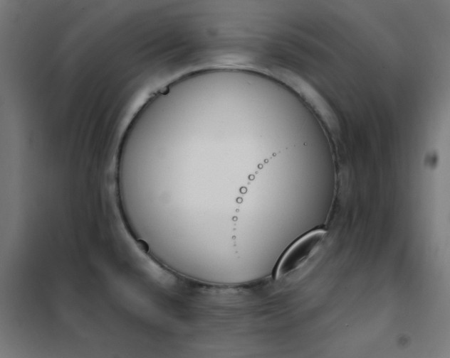 X0000101681432200807241335