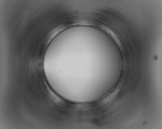 X0000101681433200807241335