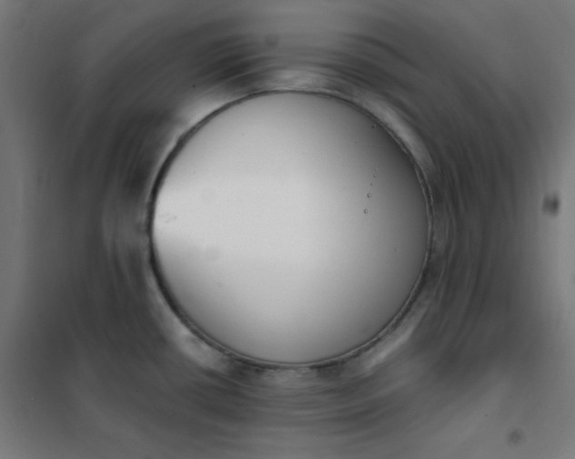 X0000101681434200807241335