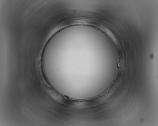 X0000101681435200807241335