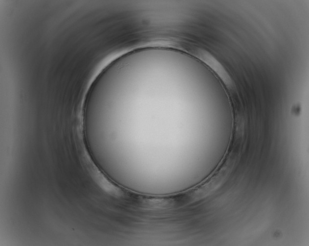 X0000101681436200807241335