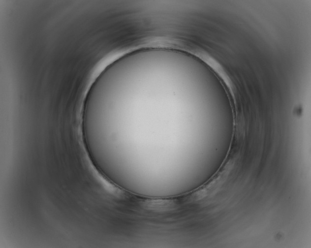 X0000101681437200807241335